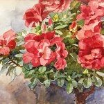 Egner Rhododendron